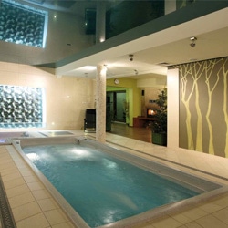 LPZ Techniek - USSPA - USSPA Swim Spa XL